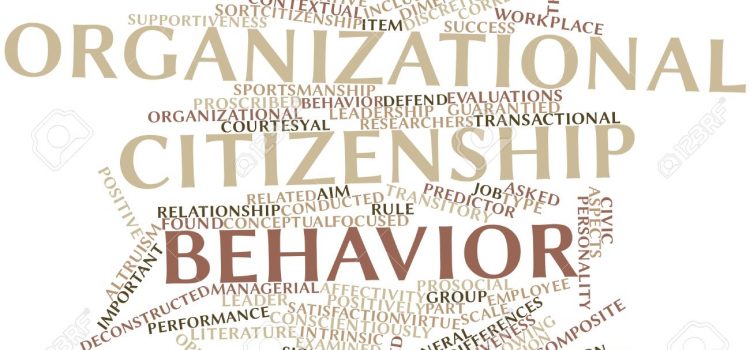 Organizational behavior terms