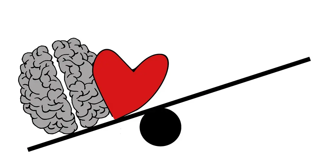 brain-2146158_1280