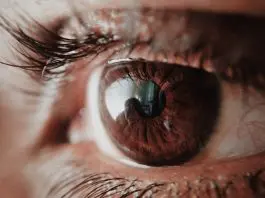 close up of brown coloured eye