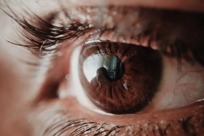 pexels-subin-946727 close up of brown coloured eye