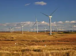 wind farm picture