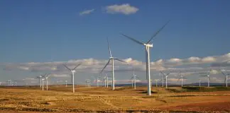 wind farm picture