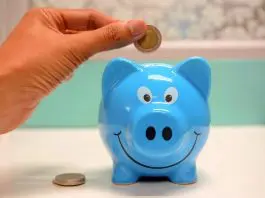 person putting money into piggy bank