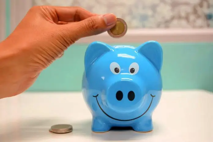 person putting money into piggy bank