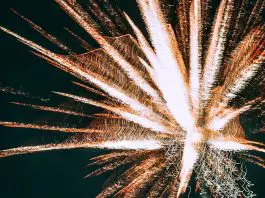firework exploding against clear night sky