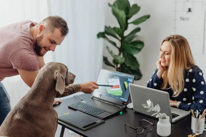 pexels-karolina-grabowska-5904046 man pointing out info on a laptop to a dog as woman looks on