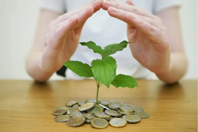 watching savings grow