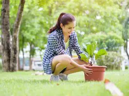 HRHQ Green recruitment srtategies