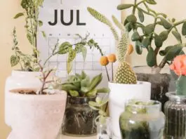 Jump Back July with Action for Happiness