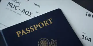 Business Immigration