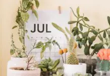 Jump Back Up July: Build Resilience & Find Positive Ways to Bounce Back Jump Back July