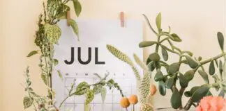 Jump Back July