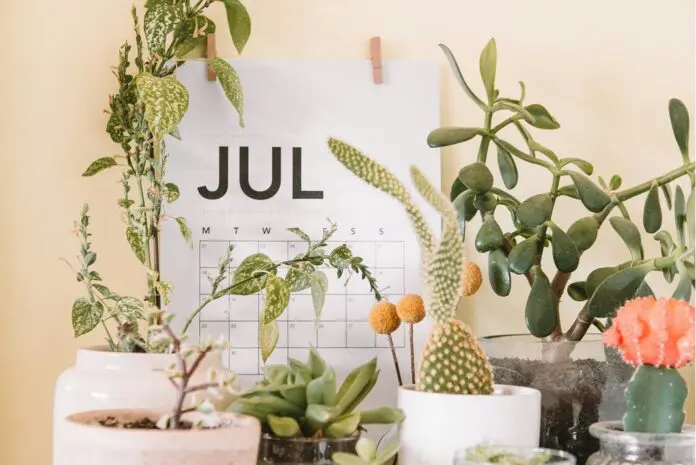HRHQ - Jump Back July Jump Back July
