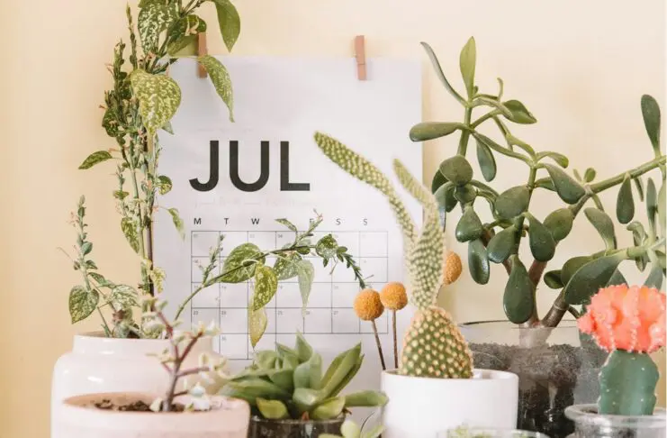 Jump Back July