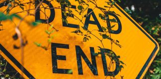 yellow "dead end" sign overgrown with bush