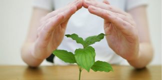 watching savings grow